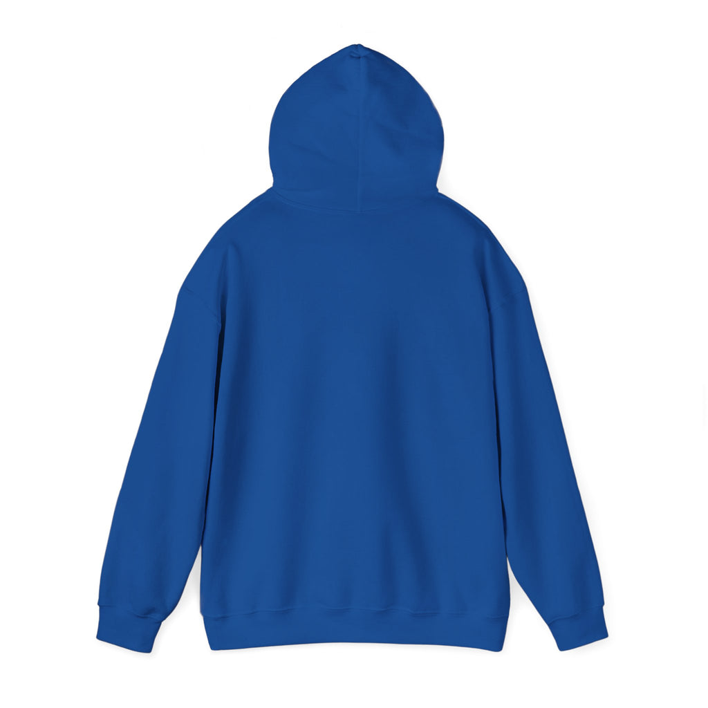 240z Hoodie