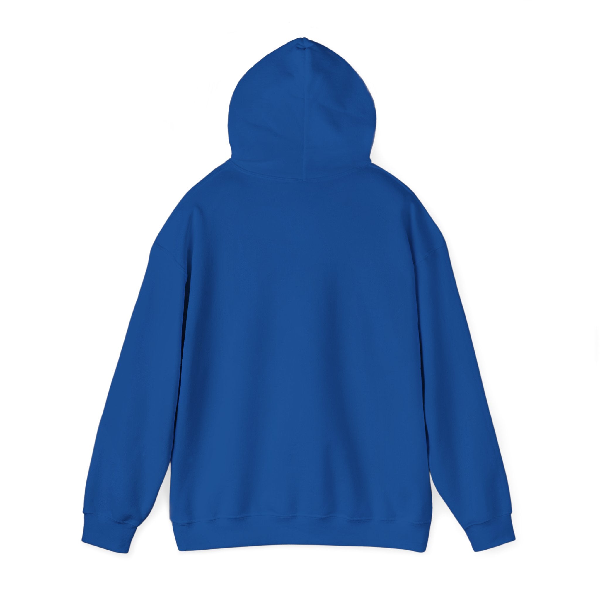 240z Hoodie