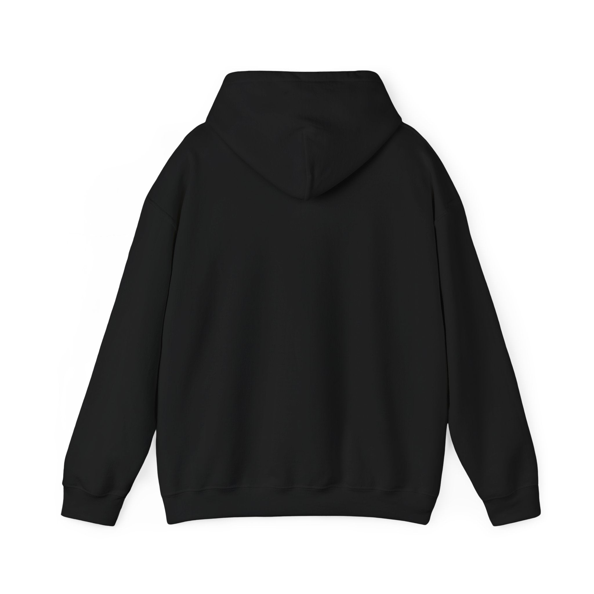 240z Hoodie