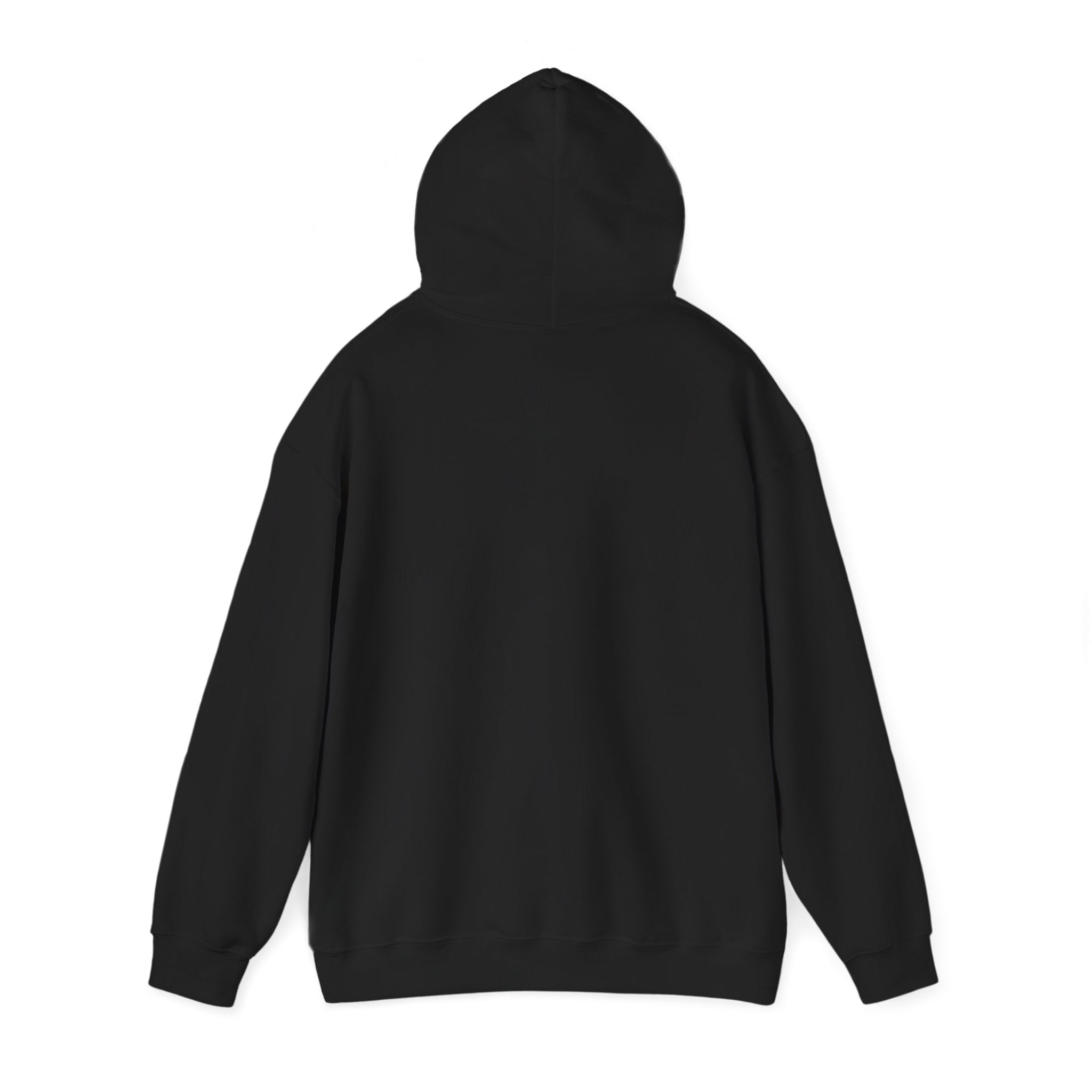 350z Life Hoodie